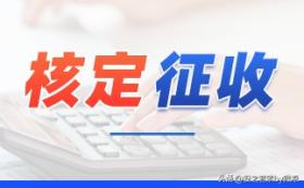 核定征收政策详解：最低个税0.5%，综合税率低至1.55%