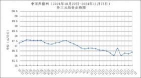 11月22日猪评：猪价“涨”声四起，29地齐飘红，未来走势如何？