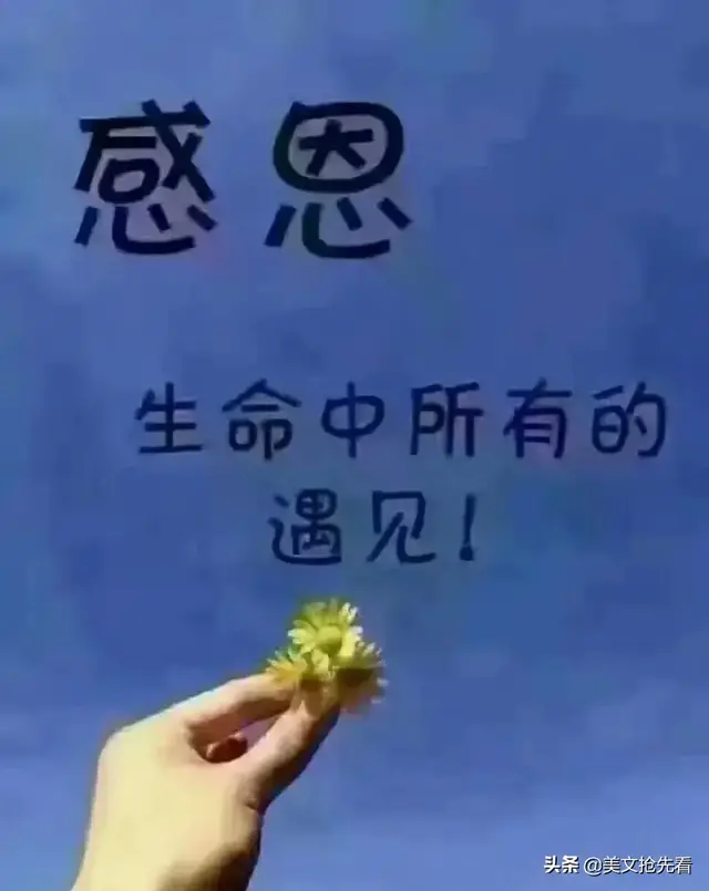 有种遇见，美到心碎 