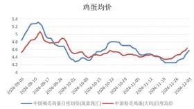 蛋鸡存栏下降，鸡蛋价格企稳反弹