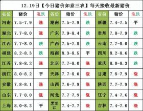 猪价风云再起，12月19-21日全国走势预测