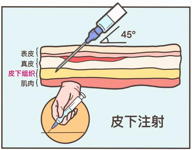 新挑战与新应对