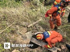 泉港消防成功救援，十米枯井中成功救出被困羊只