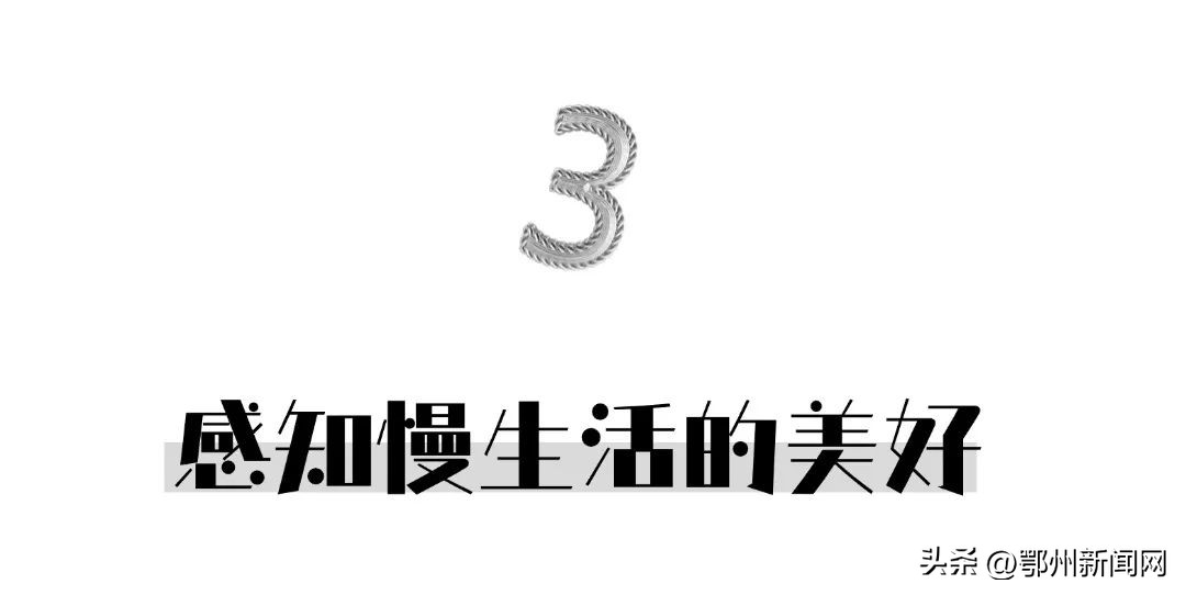 王震将军的临时指挥所