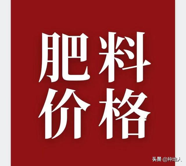 8月20日肥料价格大涨，复合肥3500元/吨，二铵3400元，钾肥3900元