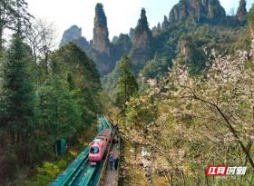 Spring in Zhangjiajie