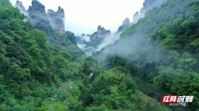 Summer in Zhangjiajie