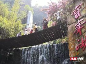 Waterfall in summer