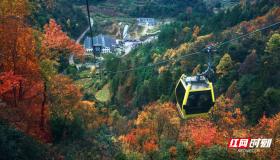 Autumn in Zhangjiajie