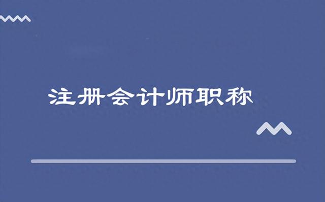 2024年注会CPA教材PDF电子版及《审计》知识点-上篇