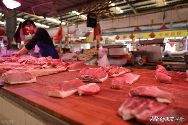 高考过后猪肉价格涨势汹汹！2023年下半年还会涨吗？附：今日猪价